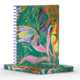 Capa3dboaslembrancas