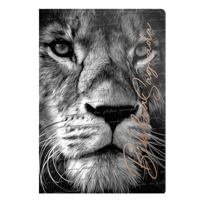 Capa-3D-NVI-grande-promessas Capa-3D-NVI-grande-promessas