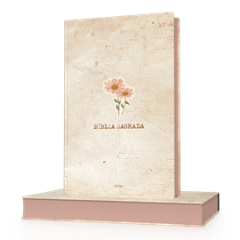 Biblia-NVI-Semi-Luxo---LN---Forca-e-dignidade---3D